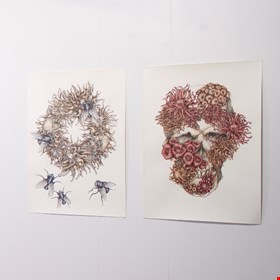 Sandra Thomson, Coral Wreath, 2016, acrylic and chalk pencil (left). Fated, 2016, acrylic and chalk pencil (right)