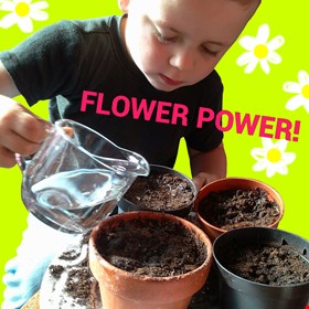 Flower Power! Plant a seed and nuture it