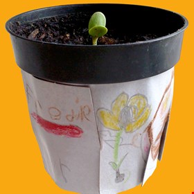 Flower Power! Draw on your plant pot and sow a seed at Rich Mix