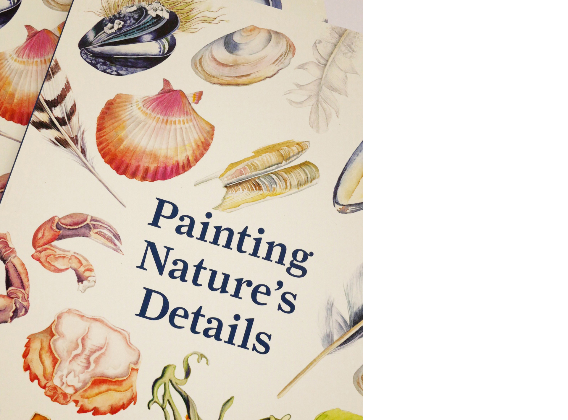 10 Drawing Books to Inspire Your Creativity